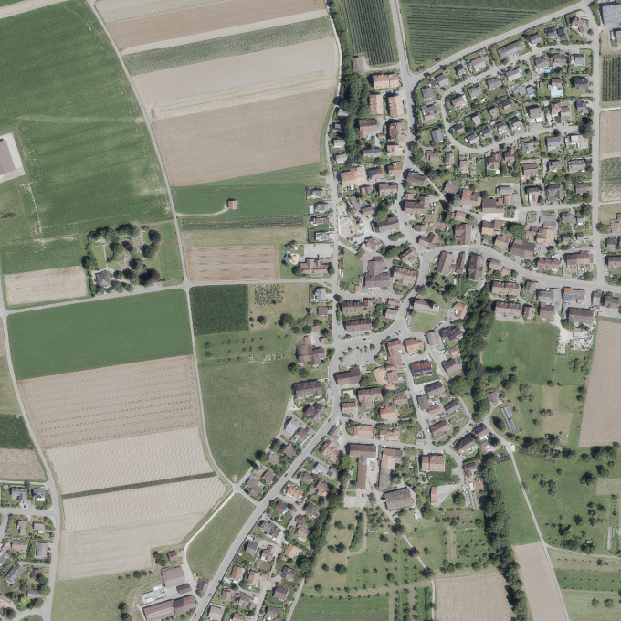 MFH Steinmaur, Steinmaur