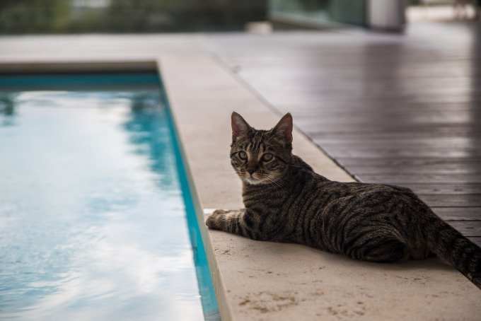 Riversight, Oetwil an der Limmat
