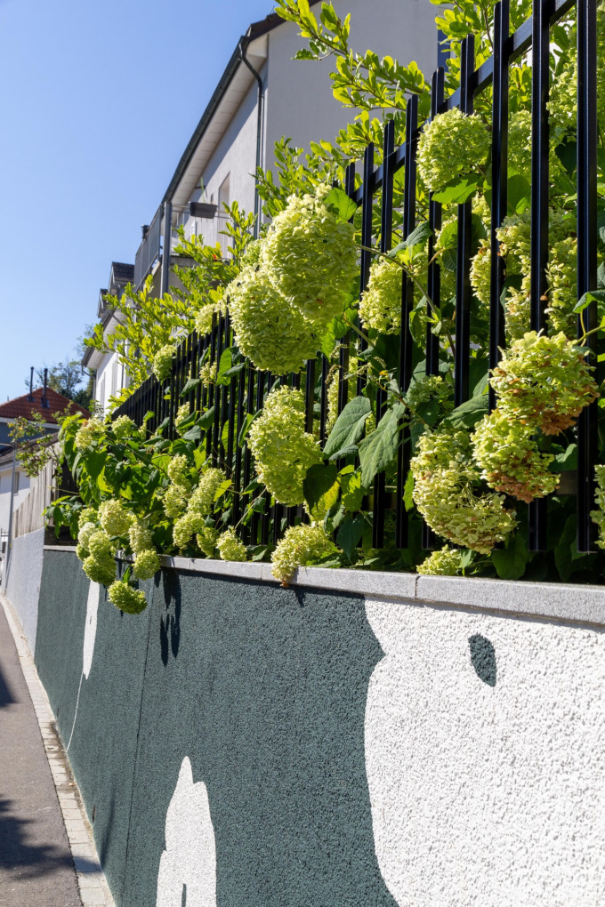Komplettsanierung, Thalwil
