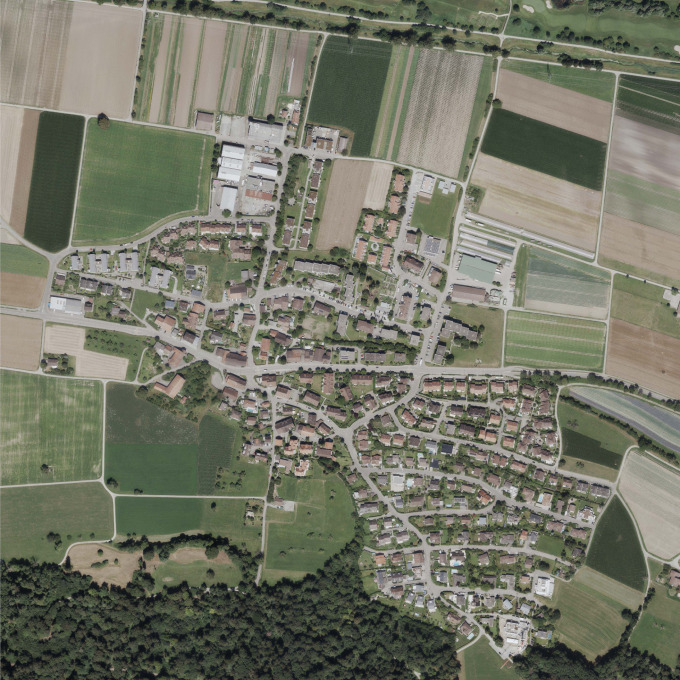 Sauterbauten, Dänikon