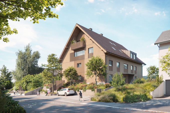 MFH Steinmaur, Steinmaur